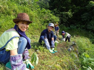 AyumiHamada